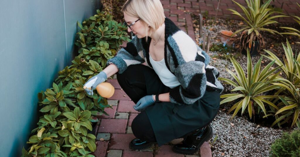 plant-based stone cleaner